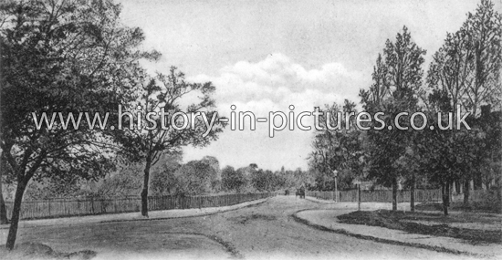 Woodford Road, Forest Gate, London. c.1904.